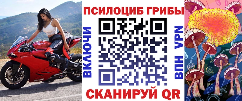Галлюциногенные грибы прущие грибы  это какой сайт  Пущино 